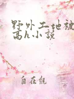 野外工地被np高h小说