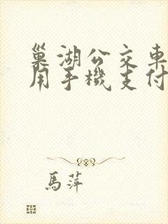 巢湖公交车可以用手机支付吗