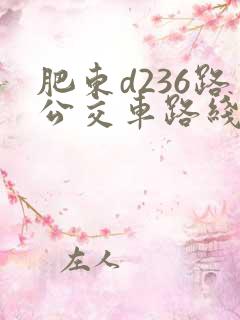肥东d236路公交车路线时间表
