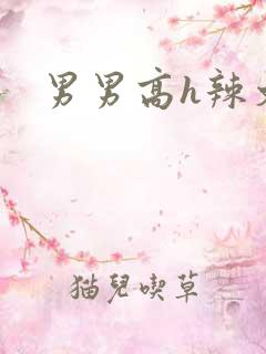 男男高h辣文