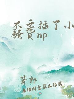 不要插了小母狗骚货np