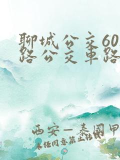 聊城公交602路公交车路线图
