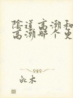 阴道高潮和阴蒂高潮哪个更爽