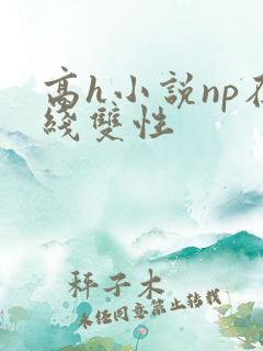高h小说np在线双性