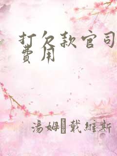 打欠款官司律师费用
