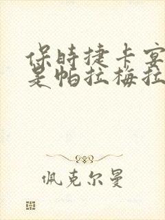保时捷卡宴好还是帕拉梅拉好