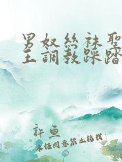 男奴丝袜圣水女王调教踩踏