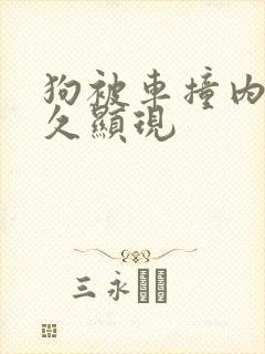 狗被车撞内伤多久显现 狗被车撞内伤多久显现