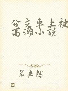 公交车上被插到高潮小说