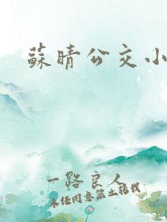 苏睛公交小说
