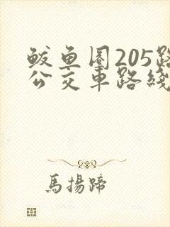 鲅鱼圈205路公交车路线图