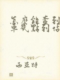怎么能查到公交车几点到站