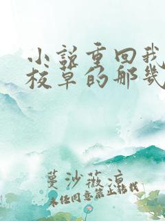 小说重回我爸当校草的那几年