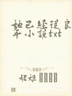 她已经从良好多年小说txt