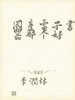 国产电子书阅读器哪个好