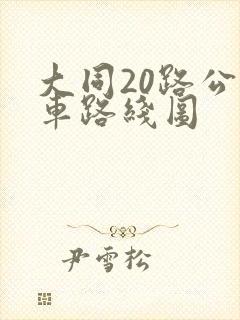 大同20路公交车路线图