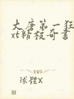 大唐第一狂徒txt精校奇书网