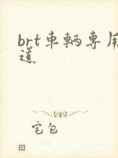 brt车辆专用道 brt车辆专用道