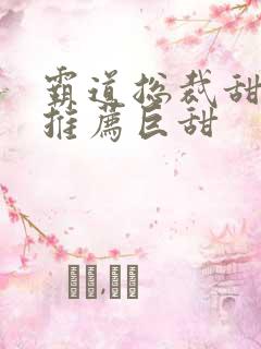 霸道总裁甜宠文推荐巨甜