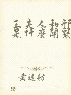 王夫人和邢夫人是什么关系 王夫人和邢夫人是什么关系