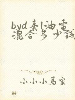 byd秦l油电混合多少钱