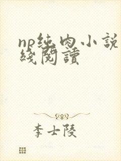 np纯肉小说在线阅读