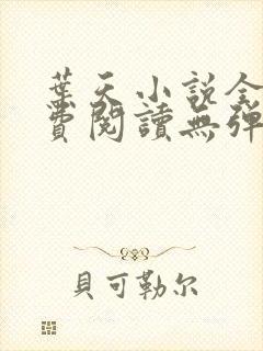 叶天小说全文免费阅读无弹窗