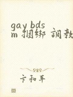 gay bdsm 捆绑 调教 男奴