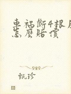 车祸断4根肋骨怎么赔偿