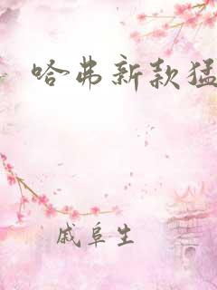 哈弗新款猛龙