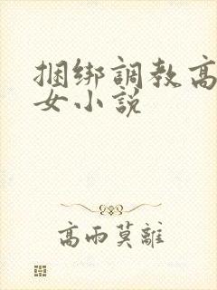 捆绑调教高h美女小说
