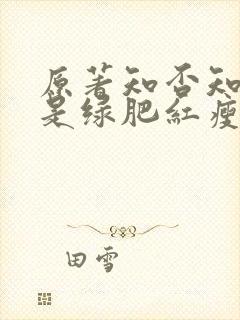 原著知否知否应是绿肥红瘦