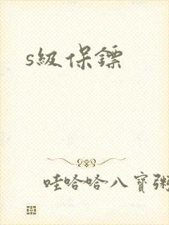 s级保镖