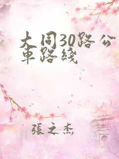 大同30路公交车路线