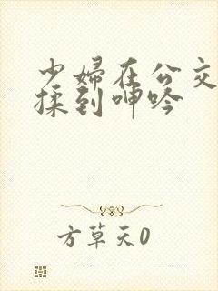 少妇在公交车被揉到呻吟 少妇在公交车被揉到呻吟