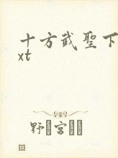 十方武圣下载txt