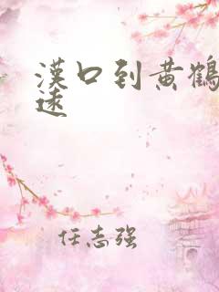 汉口到黄鹤楼多远