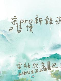 宋pro新能源e售价