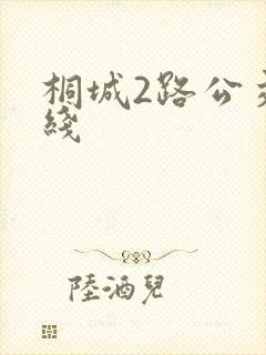 桐城2路公交路线