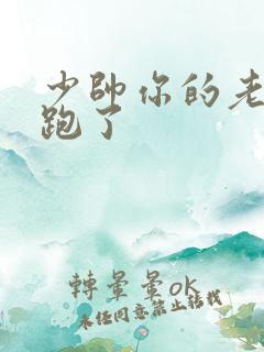少帅你的老婆又跑了 少帅你的老婆又跑了