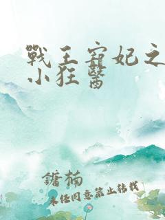 战王宠妃之倾世小狂医
