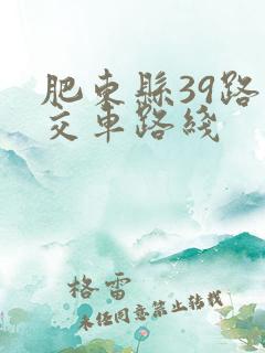 肥东县39路公交车路线 肥东县39路公交车路线