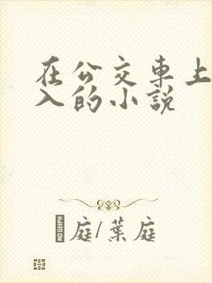 在公交车上被后入的小说
