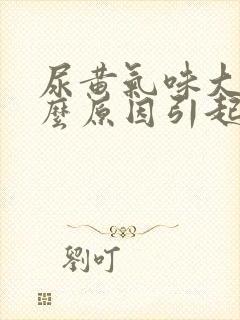 尿黄气味大是什么原因引起的