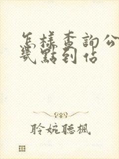 怎样查询公交车几点到站