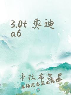 3.0t 奥迪a6