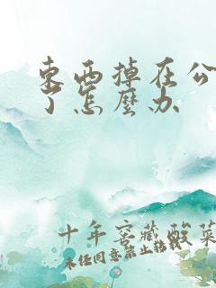 东西掉在公交车了怎么办