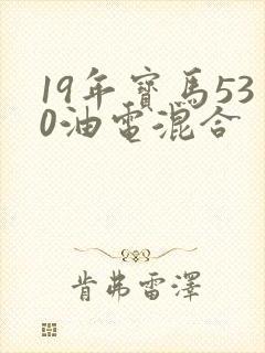19年宝马530油电混合 19年宝马530油电混合