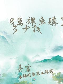 8万裸车购置税多少钱