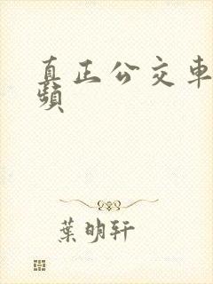 真正公交车的视频